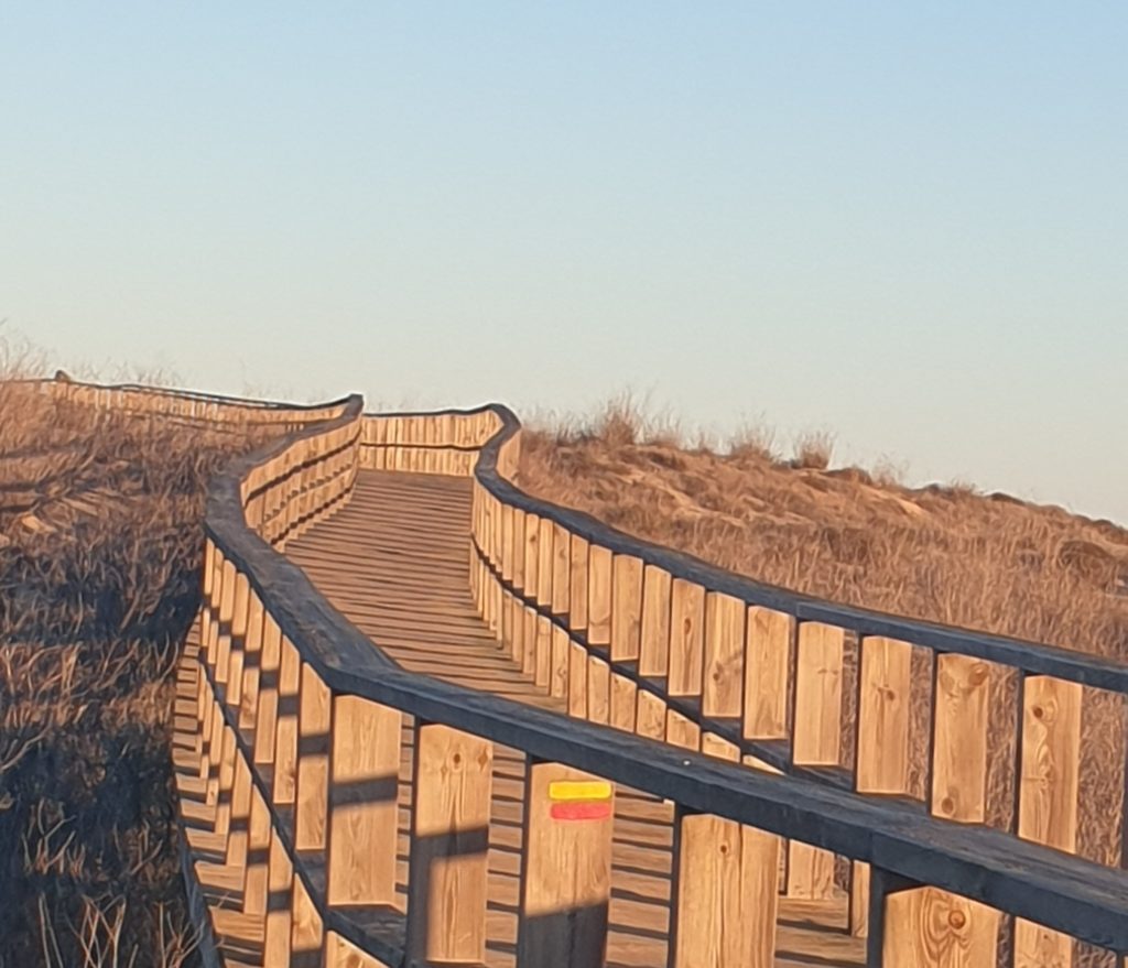 Stelzenweg auf der Düne