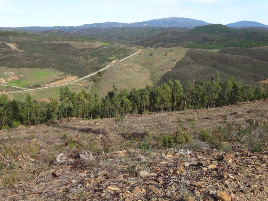 Blick auf die Serra de Monchique