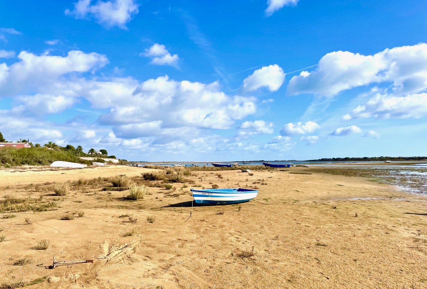 Ria Formosa