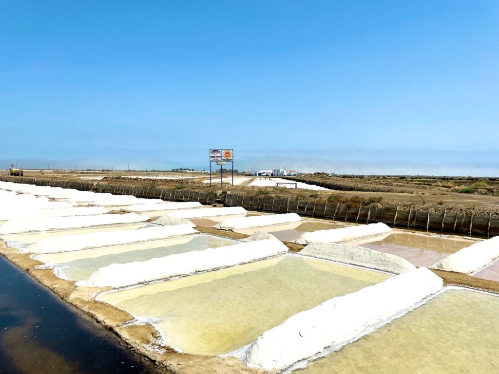 Saline Tavira