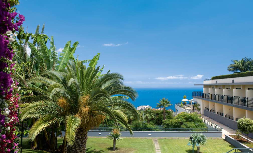 Workation Portugal: Madeira Panorâmico 