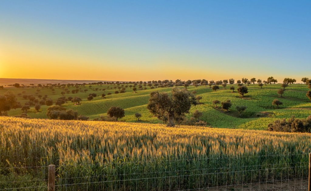 Alentejo Sonnenuntergang