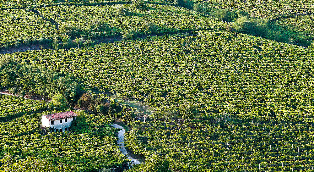 Italienische Landschaft mit grünen Feldern