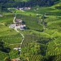 Landschaft in Norditalien mit grünen Feldern