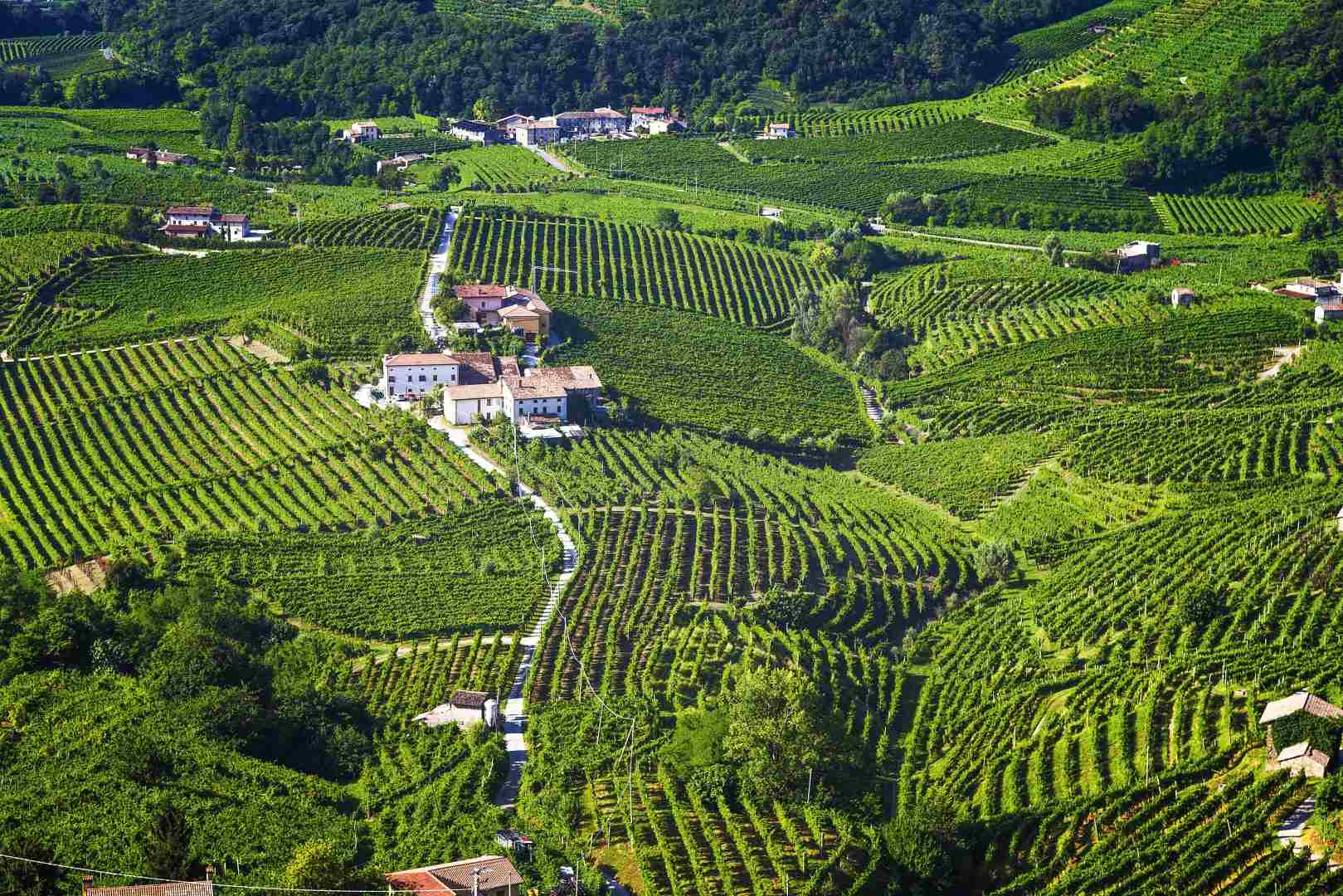 Landschaft in Norditalien mit grünen Feldern