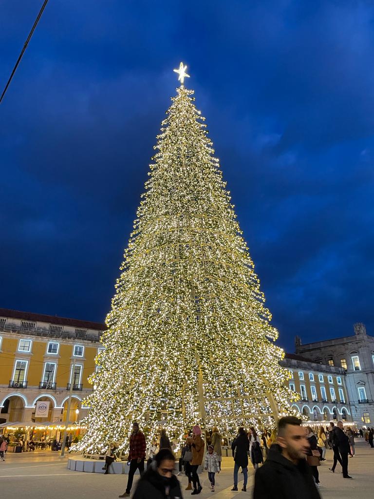 Weihnachtsbaum auf der „Praça do Comércio"