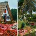 Madeira Santana und Botanischer Garten