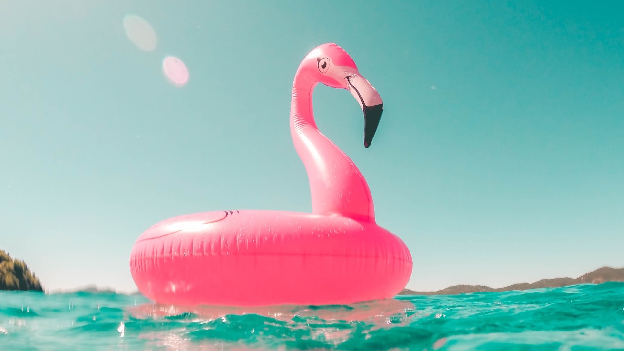 Flamingo Schwimmreifen Pool