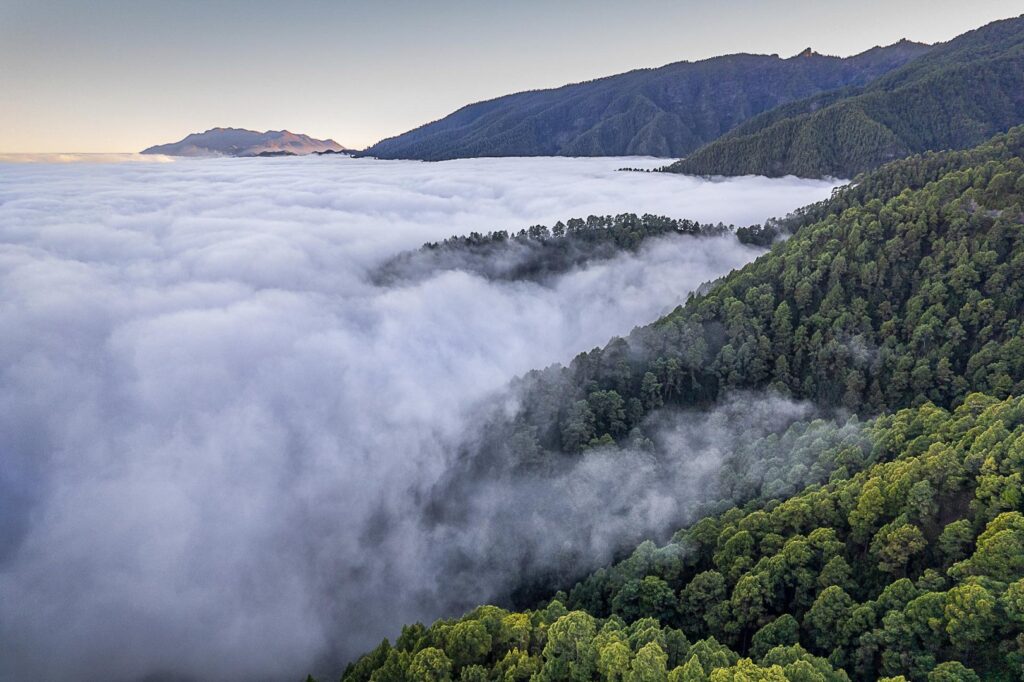 La Palma: Die schönsten Wanderwege der Isla Bonita/ CumbreVieja
