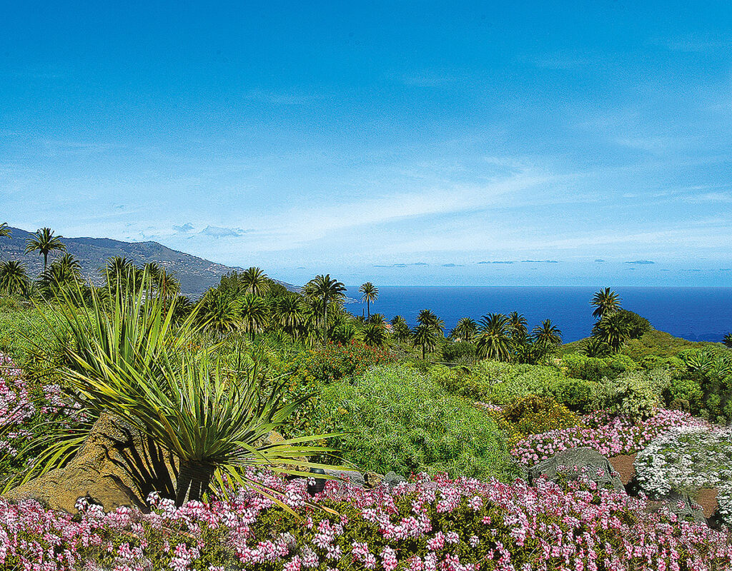 La Palma: Die schönsten Wanderwege der Isla Bonita/ Palmengarten Brena Baja Gerade