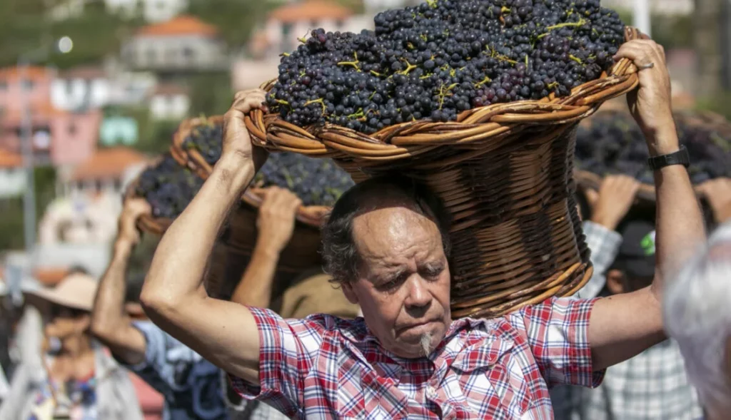 Madeira Weinlese-Fest
