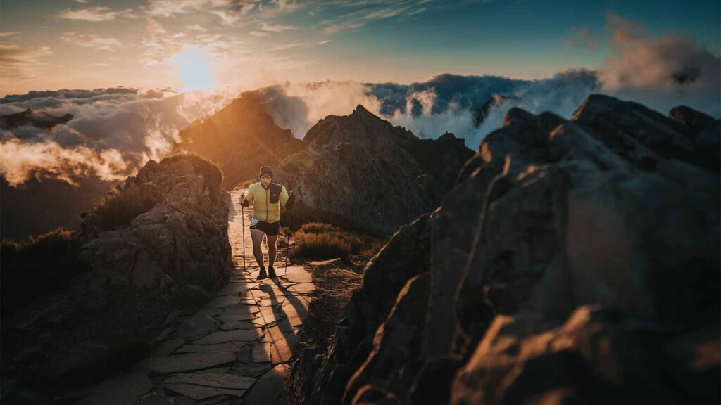 MIUT Madeira Bild: João Faria