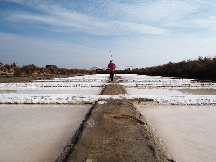 Salinen von Castro Marim, eine Sehenswürdigkeit der Algarve © Algarve Tourism Bureau