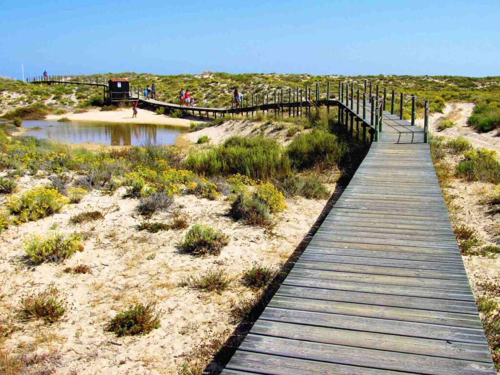 Ilha da Culatra, eine Sehenswürdigkeit der Algarve © Algarve Tourism Bureau