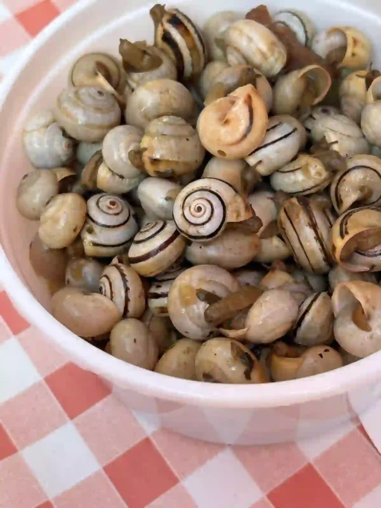Santos Populares Lissabon Schnecken
