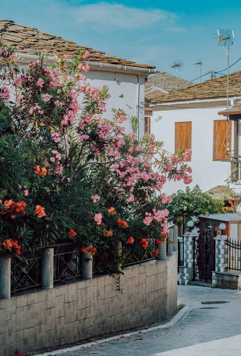 Straße, Häuser, Thassos, Griechenland