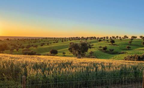 Alentejo in Portugal