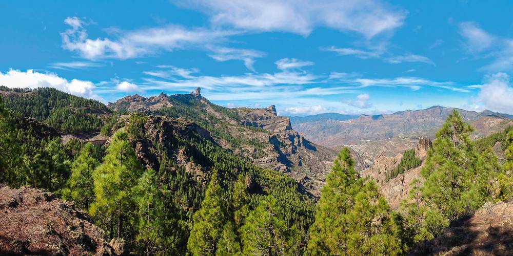 Panorama mit Bergen und Bäumen auf Gran Canaria