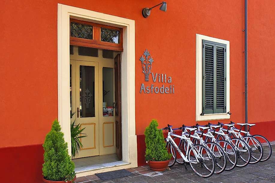 Villa Asfodeli, Villa Asfodeli