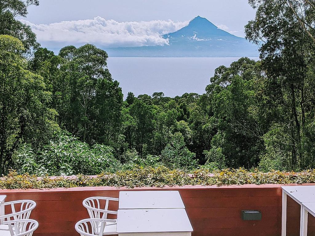 Cabanas da Viscondessa, Restaurant/Gastronomie