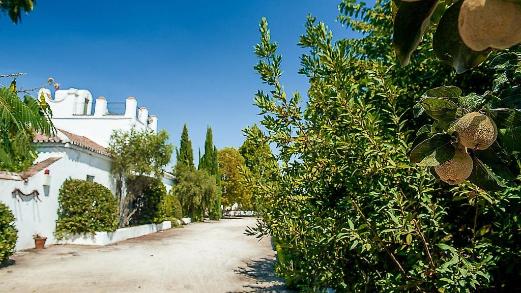 Hotel Molino del Arco, Resort/Hotelanlage