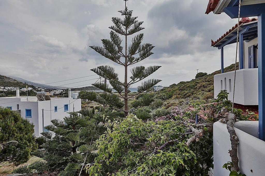 Irene Studios Andros, Resort/Hotelanlage