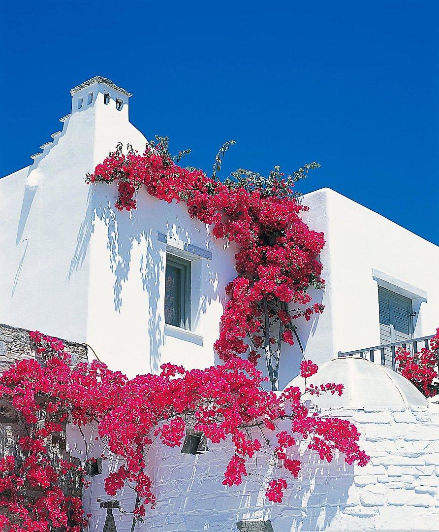 Yria Boutique Hotel & Spa, Resort/Hotelanlage