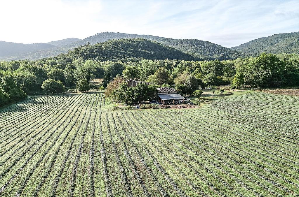 Podere Campalfi, sonstige