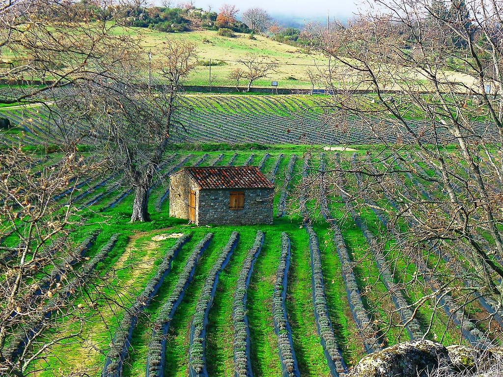 Quinta das Lavandas, öffentliche Bereiche