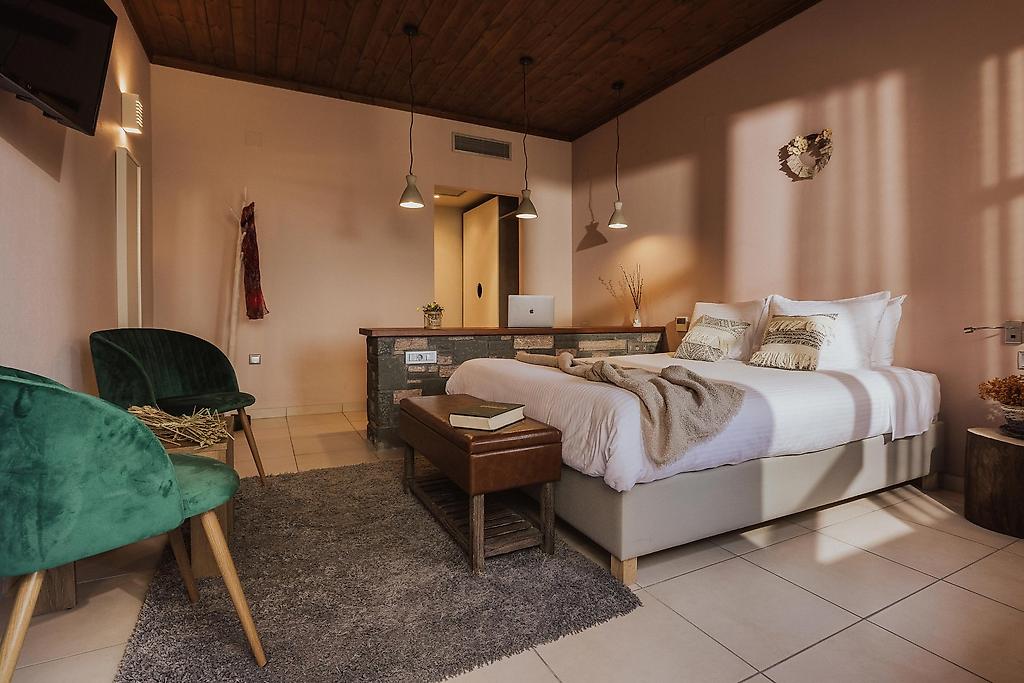 Rouista Tzoumerka Resort, Wohnbeispiel