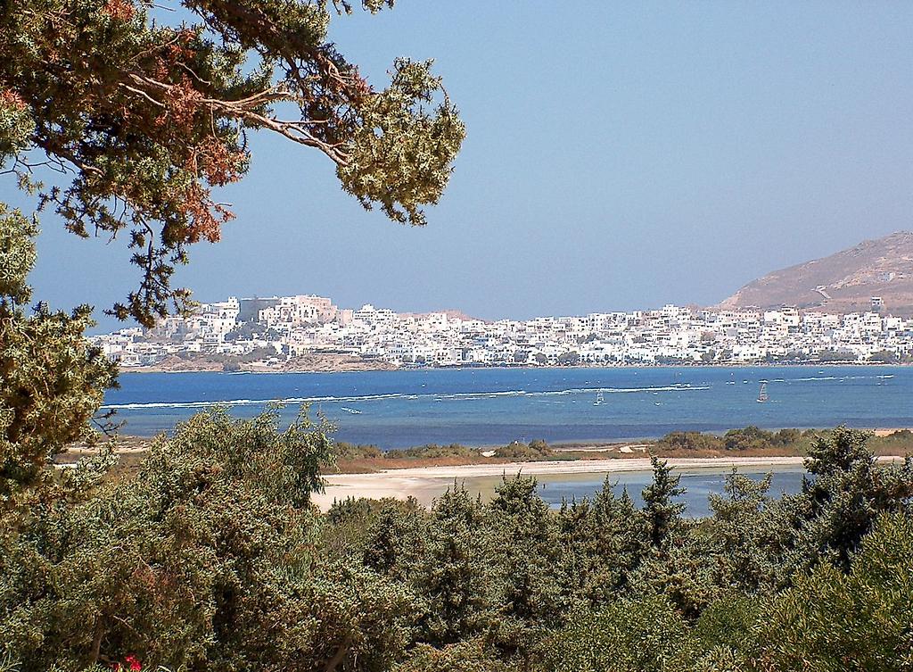 Kedros Villas, Suite