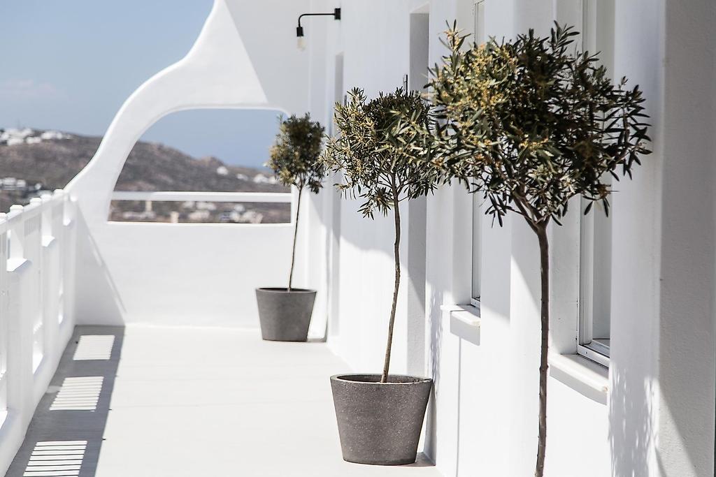 My Mykonos Hotel, Resort/Hotelanlage