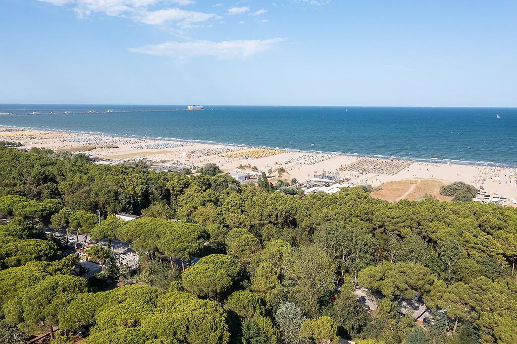 Rivaverde Easy Camping Village, Luftaufnahme des Sandstrandes und des Meeres mit Strandkörben oder Liegen.