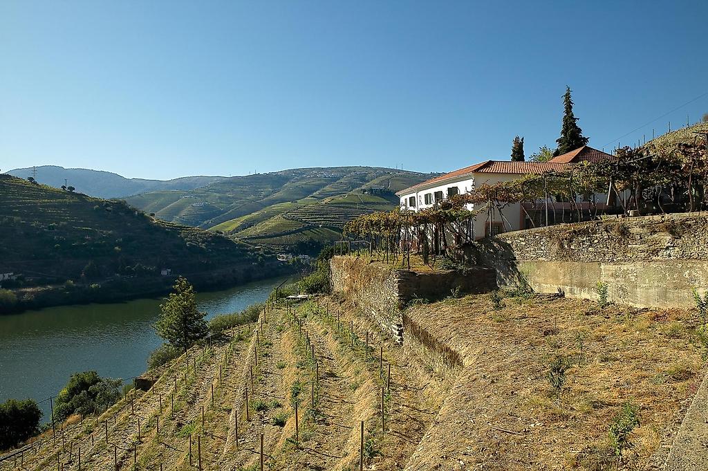Quinta de la Rosa, Resort/Hotelanlage