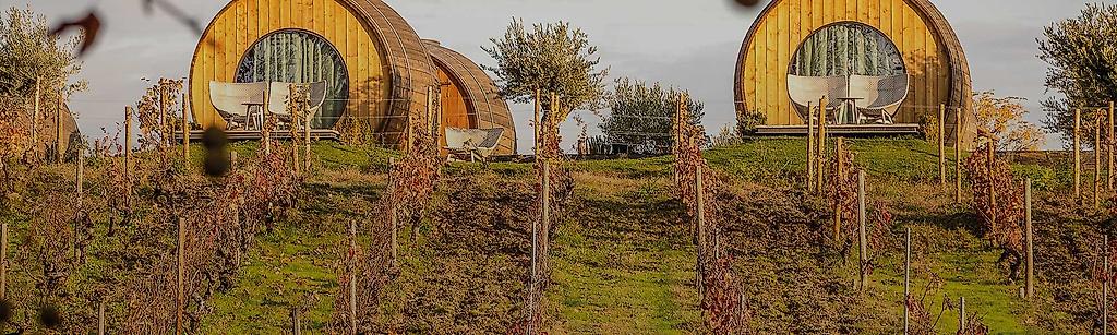 The Wine House Hotel Quinta da Pacheca,