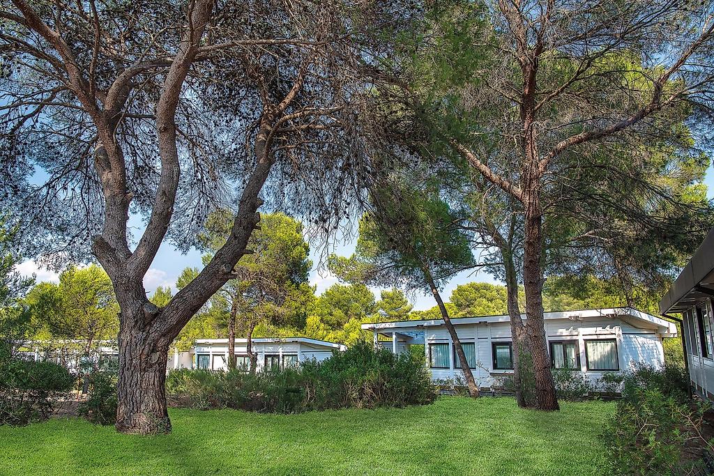 Alborea Ecolodge Resort,