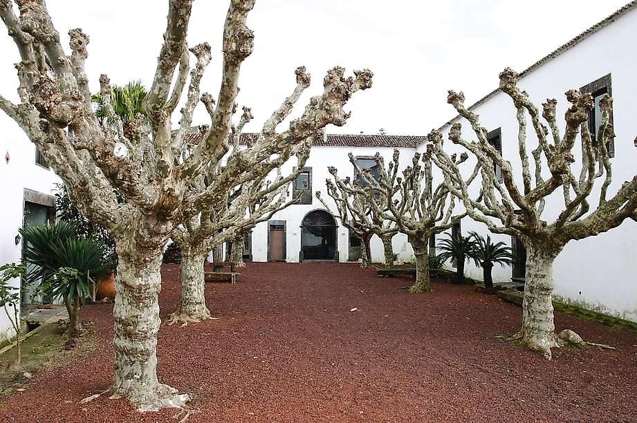 Convento de São Francisco, Patio