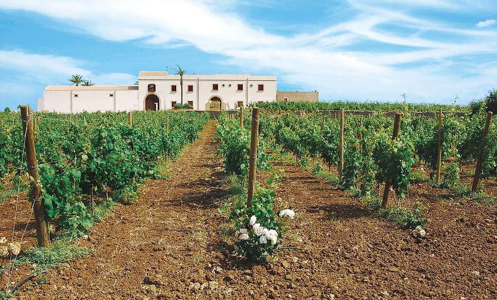 Baglio Donna Franca Wine Resort, Resort/Hotelanlage
