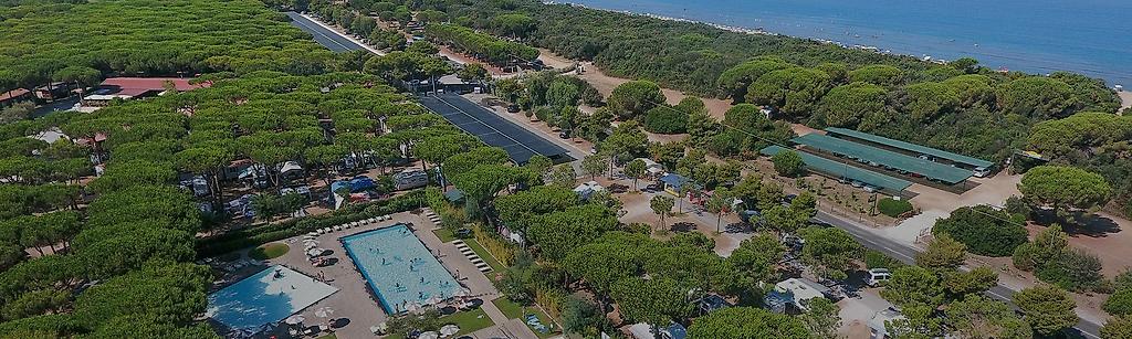 Orbetello Family Collection,