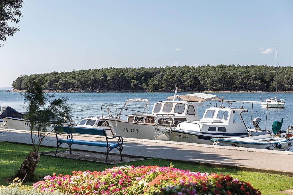 Falkensteiner Hotel Park Punat, öffentliche Bereiche