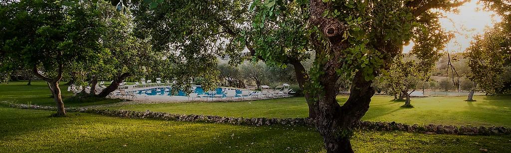 Masseria degli Ulivi, Masseria degli Ulivi,