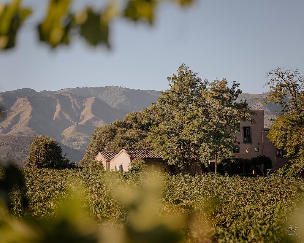 Cavanera Etnea Wine Resort, Beeindruckende Panorama-Aussicht auf die umliegenden Hügel und Täler.