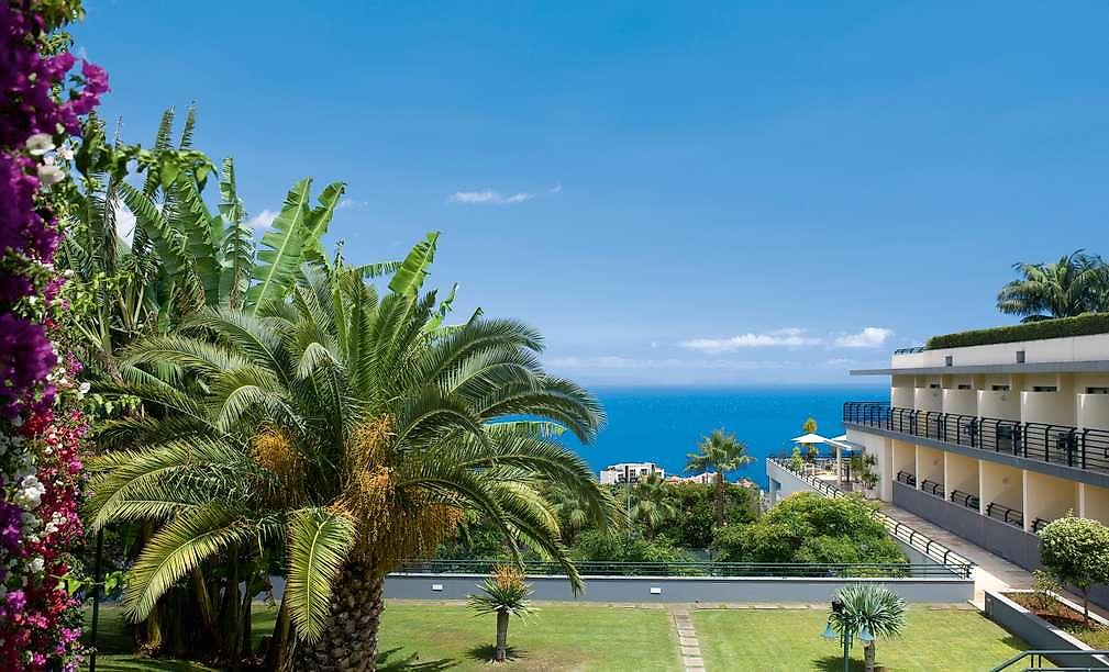 Madeira Panorâmico Hotel, Meerblick mit Palme