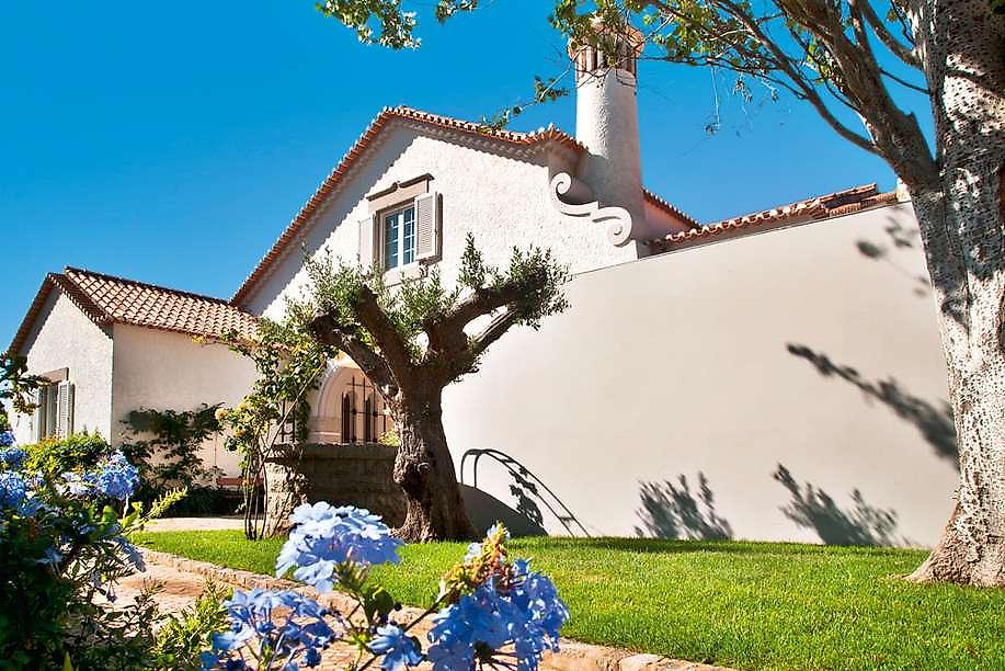 Casa Vela Guest House, Garten