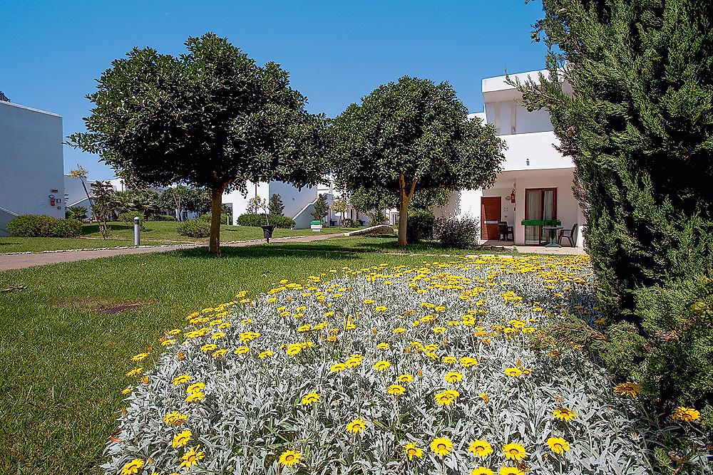 Riva Marina Resort, Resort/Hotelanlage