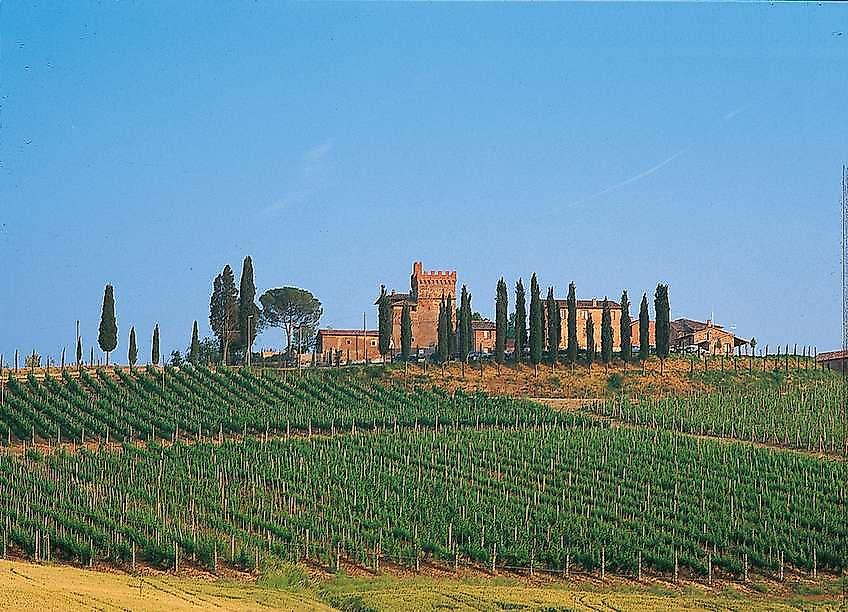 Chianti und Vino Nobile