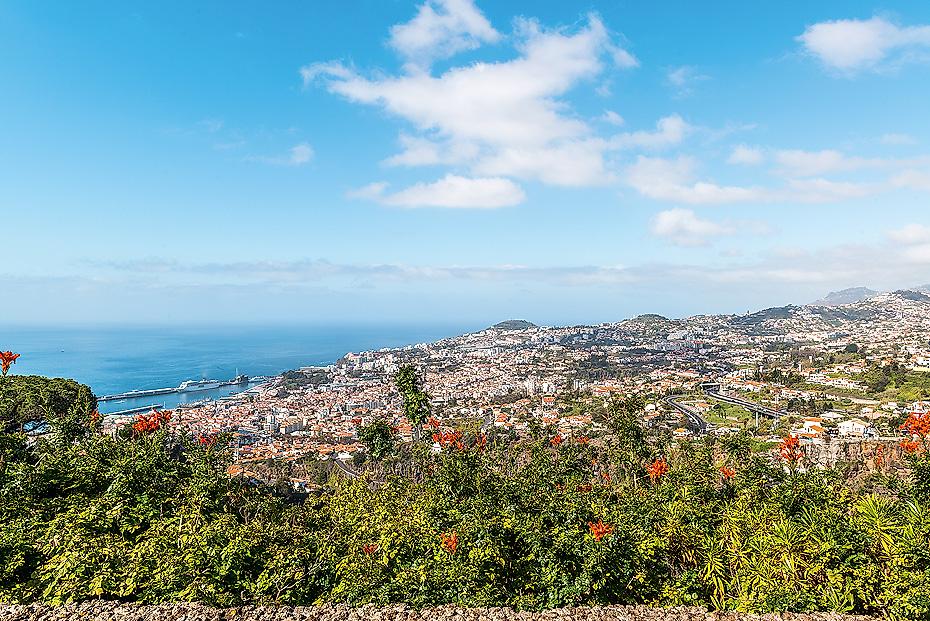 Madeira: das Naturparadies im Atlantischen Ozean 4