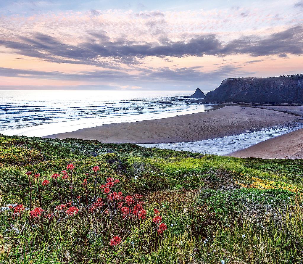 Panoramawandern entlang der Costa Vicentina 4