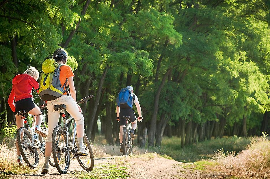 Auf dem Fahrrad entlang des portugiesischen Jakobswegs 2