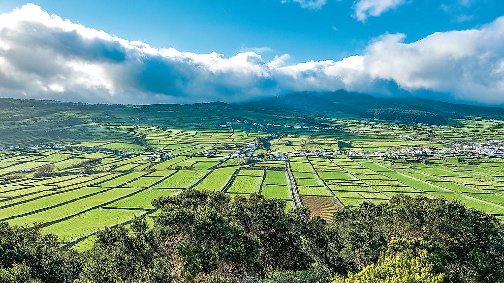 Wanderreise auf Terceira, Faial und Pico 3